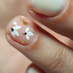 خدمات تخصصی ناخن و مژه در دیباجی