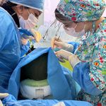 مطب دندانپزشکی دکتر فاطمه قانعی گلبهار