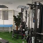 ارتوپدی فنی ترمیم