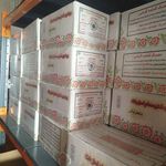 شفا البرز کاسپین