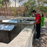شرکت سمپاشی زودکُش