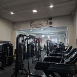 باشگاه ولف باغ‌میشه