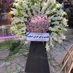 گلفروشی گل نرگس ملایر