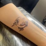 سالن تتو آیلار هدایتی