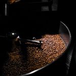 فروش دان قهوه به صورت عمده و خرد کیمیا