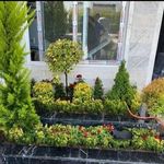 خدمات باغبانی هرسکاری گلکاری متخصص خاک