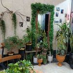 قهوه هیلان