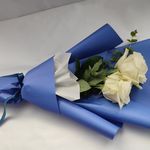 بازار گل کبکانیان