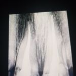 دندانپزشکی دکتر راحله مدانلو