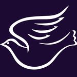 موسسه حقوقی مهاجرتی پرنده سفید