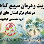 فروشگاه گل و گیاه شمعدونیا