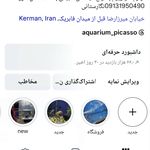 آکواریوم پیکاسو