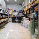 چای