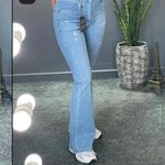 تولید و پخش پوشاک تیلور