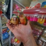 پت شاپ دهکده منقارکج‌ها
