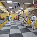 باشگاه ورزشی آرمو