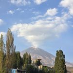 مجموعه ورزشی اسدی