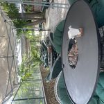 باغ رستوران کیافود(کافه کیا)