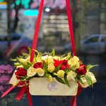 گلفروشی بلومی جهانشهر