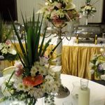 گلفروشی سی تو (ارسال رایگان)