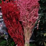 فروشگاه کیک و شیرینی وانیل