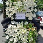 گل فروشی دنیز (آنلاین) -ارسال فوری