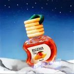 خوشبو کننده خودرو