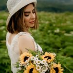 استودیو مانل