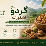 فروشگاه اينترنتی آكزين كالا