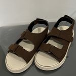 ارتوپدي فني رادين