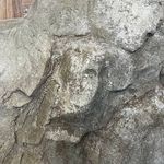 پتینه ی ساختمان و میکروسمنت سانازلطفی