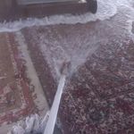 قالیشویی لاله صحرارودهن