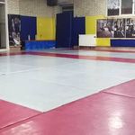 جودو برای تندرستی (شعبه صادقیه)