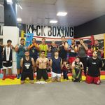 کلاب بوکس شاهین