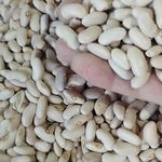 فروش حبوبات اعلا