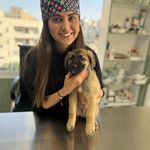 کلینیک دامپزشکی تخصصی نیک پلاس