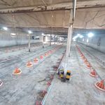 تجهیزات مرغداری علی محمدی