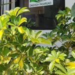 موسسه آوید دقیق پاسارگاد
