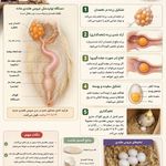 درمانگاه دامپزشکی دکتر صداقت