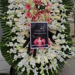 گل فروشی دنیز (آنلاین) -ارسال فوری