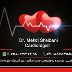 دکتر مهدی شیبانی
