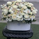 کافه گل سعیده