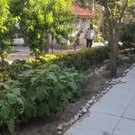 شرکت سمپاشی شیمی گستر