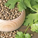محصولات غذایی ارگانیک بابا احمدی
