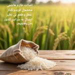 فروش برنج طارم هاشمی فریدونکنا