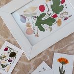 تابلوهای دکوری منزل هرباریا