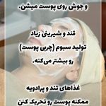 فشیال و اسکالپ زن روز