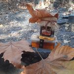 عسل های طبیعی کوهستان  زرزم