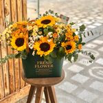گلفروشی فوشیا