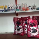 کلینیک دامپزشکی شفا (Dr. Salimi – Shafa Vet)سنندج، خیابان مردوخ جنوبی، کوچه باقرخان وکیل (نرسیده به چهارراه صفری)09186237426 / 09139781129